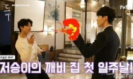 最新酒店花絮爆料文案,独家花絮爆料，一窥奢华背后的故事