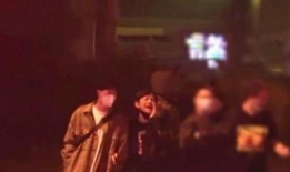 林雪爆料视频最新消息新闻,揭秘娱乐圈惊人内幕