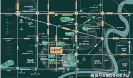 重庆口罩爆料案件最新进展,真相逐步浮出水面