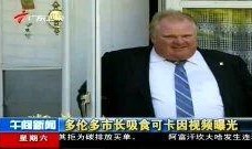 多伦多最新爆料新闻视频,视频揭露惊人内幕