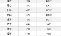 山东薪资爆料事件最新,揭秘企业薪酬真相与劳动者权益挑战